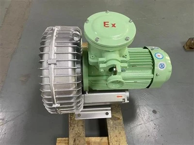 ATEX Blower for Gas Transportation